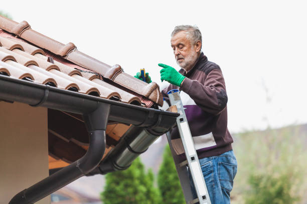 le nettoyage de toiture à Oullins par un professionnel se déroule en plusieurs étapes bien précises. Tout d'abord, une inspection