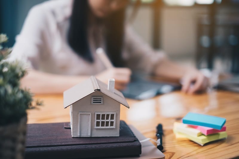 Agent immobilier Vienne